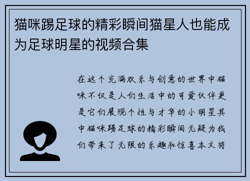 猫咪踢足球的精彩瞬间猫星人也能成为足球明星的视频合集
